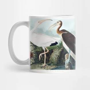 White Ibis from Birds of America (1827) Mug